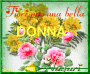 Festa della donna