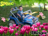 primavera