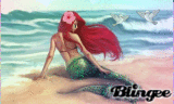 0_°*--->the little MaRmAiD<---*°_0