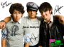 dO u Likee the jOnass brOtherss?
