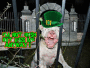 St patricks pitt.