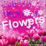 Flowers Ow1998b
