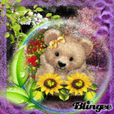 sweet spring bear 