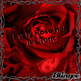 Every Rose Has It's Torn