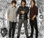 jonas brothers