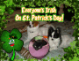 Happy St. Patricks Day