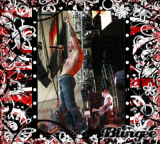 ((••M.Shadows••))