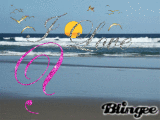 I Love You Meer