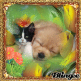 concour theme (2) blingtoustyle