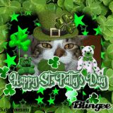 Cat and Bears Patty Day
