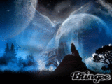 Angel y Lobo