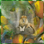 animaux