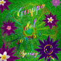 ----->☼·.·•♥"gяυρρσ ∂єℓ ѕσяяιѕσ"♥•·.·☼<-----