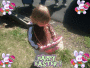 egg hunt egg hunt