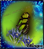 Mothers Day Butterfly