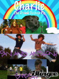 smosh ian and anthony 