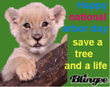 save a tree and a life save a tree and a life