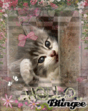 ..Hello..my Friend..