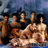 Here comes the wolves. Woof woof :D