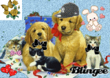 cachorros mascotas