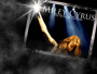 WWT (Wonder World Tour)