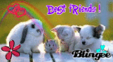 Strange Friends