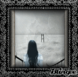 the foggy bridge 