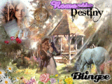 ROMANTIC DESTINY