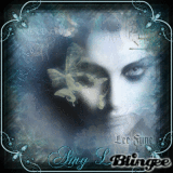 Amy Lee