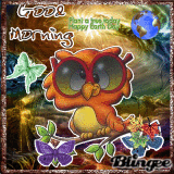GIVE A HOOT