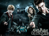 Harry Potter and the Order of the Phoenex Harry Ron and Hermione 