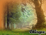 arbooles naturaleza