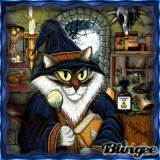 ⊱✿ MERLIN ✿⊰