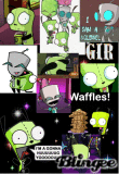 Gir collage