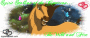 spirit stallion of the cimarron