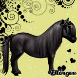 Pony