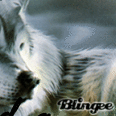 Blingee