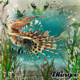 Queen of The Lionfish