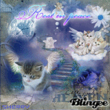 Rest In Peace Kitty~For Cassee