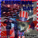 'MEMORIAL DAY' DOGS Competition: Happy Memorial Day From Punky:)