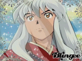 Inuyasha 08