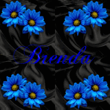 B.L.U