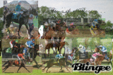 The Life of Racing . . .