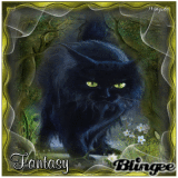 Fantasy:-)