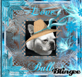 ** Love Bulls **