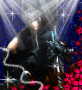 noctis lucis caelum noctis lucis caelum