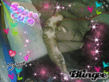 my angel michél