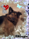 Oliver, notre nounours