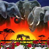 ELEPHANTS D AFRIQUE