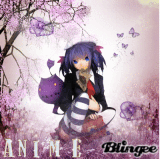 animex